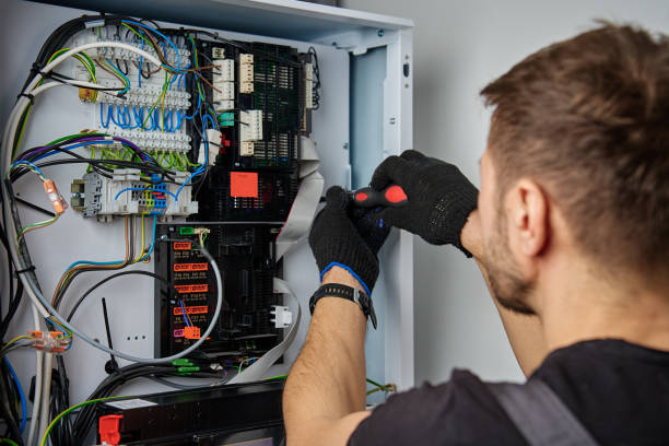 Licensed Electrical Panel Upgrade service in Fish Hawk, FL - No Joke electrician